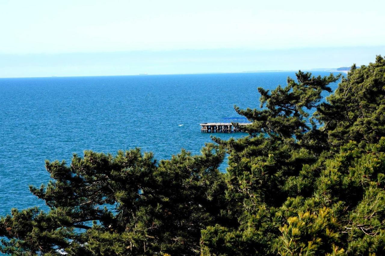 Guest House Romanadze Kobuleti Εξωτερικό φωτογραφία